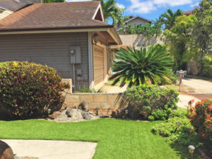 Landscape Design Oahu - Green Grass Hawaii